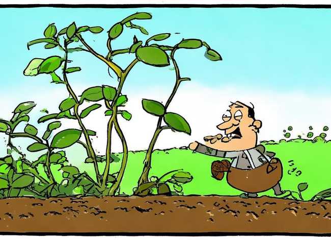 拔苗助长成语故事视频播放，成语故事拔苗助长视频大全