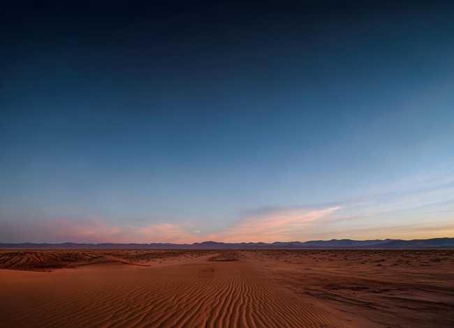 驼背故事的内容简介，驼背的故事的主要内容是什么