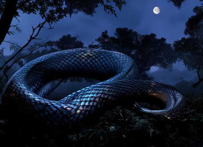 关于蛇的睡前故事；关于蛇的睡前故事文字版