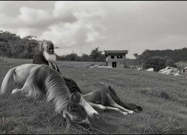 塞翁失马的故事原文 塞翁失马的故事原文意思 塞翁失马的故事原文 塞翁失马的故事原文意思