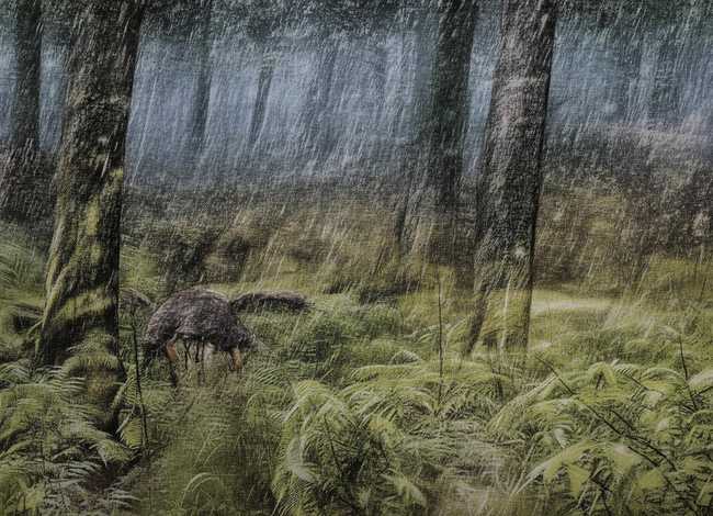 长城的故事和传说,长城的故事和传说有哪些200字 长城的故事和传说,长城的故事和传说有哪些200字