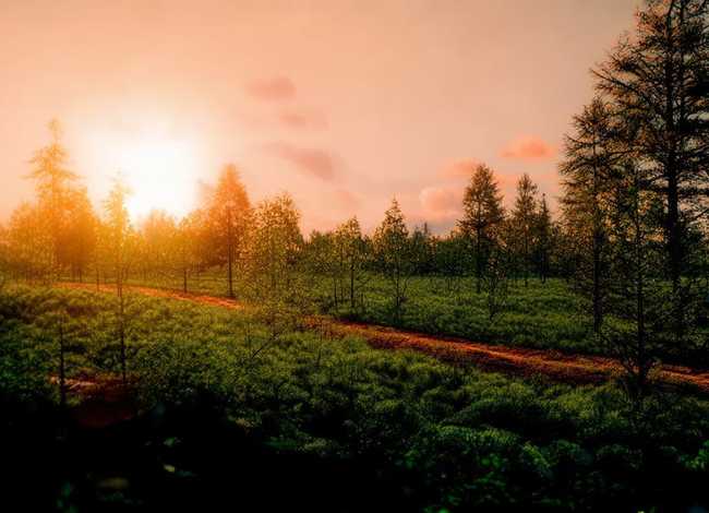 成长的故事背景图片、成长的故事背景图片高清