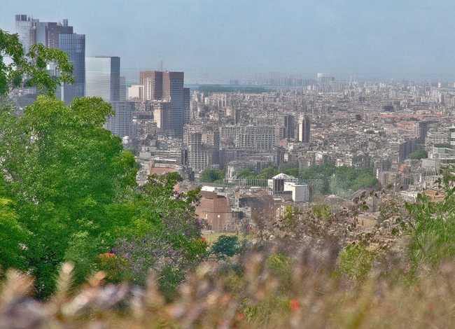 动物童话故事200字四年级 - 动物童话故事350字四年级上册