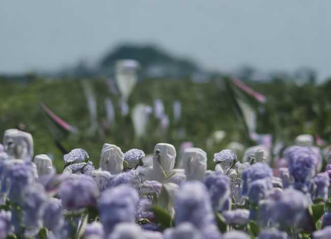 数学童话故事简短50个字，数学童话50字左右