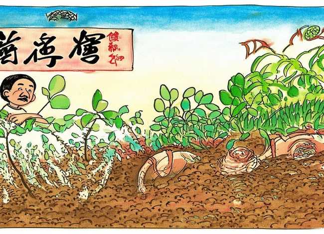 成语故事拔苗助长手抄报、成语故事拔苗助长手抄报怎么画