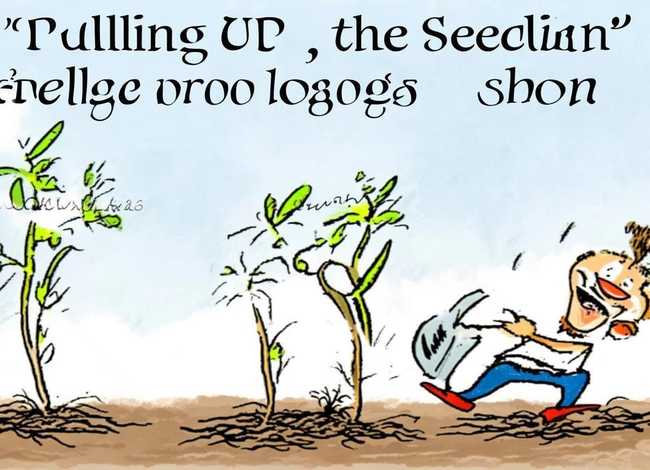 儿童成语故事书拔苗助长简笔画（小学生成语故事(简短)拔苗助长的简笔画）