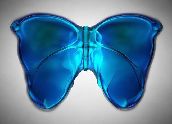 蝴蝶骨是什么部位 - 蝴蝶骨是什么部位图片