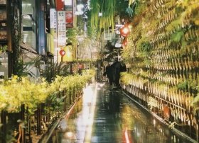 风筝的故事100字 风筝的故事100字左右
