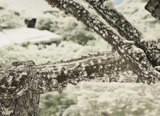 古代战争故事大全 古代战争故事大全在线听