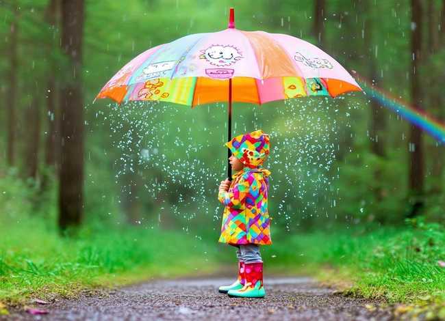 伞幼儿故事，雨伞幼儿故事