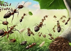 《蚂蚁的故事》 - 关于蚂蚁的故事