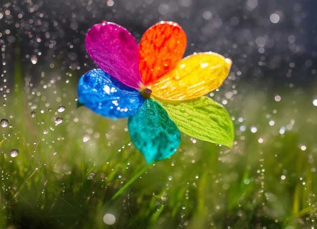 七色花故事全文电子版；七色花故事全文电子版下载