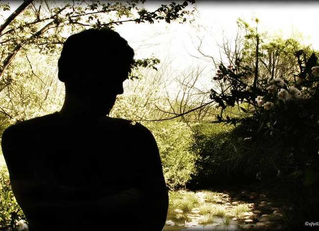 人无完人的经典句子 人无完人的经典句子摘抄