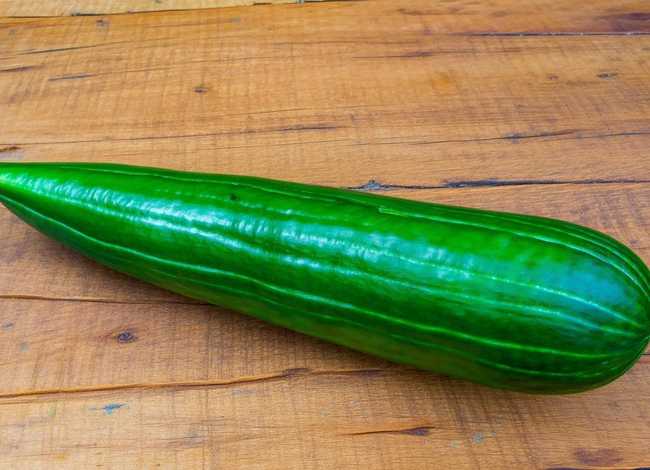 长长的瓜绿色条纹是什么瓜(长条的瓜深绿色叫什么) 长长的瓜绿色条纹是什么瓜(长条的瓜深绿色叫什么)