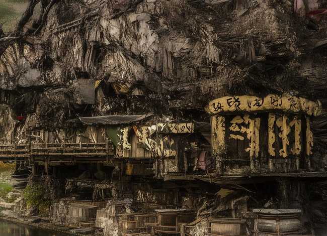 动物间的亲情故事，动物之间感人的亲情故事20字