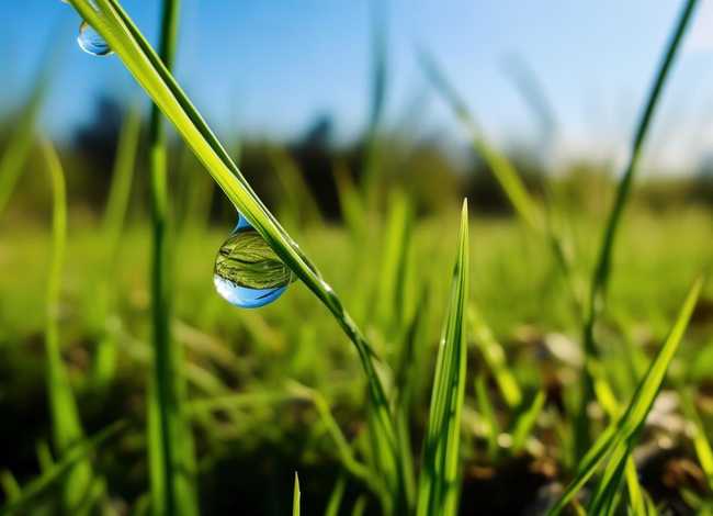 一滴水滴的故事；一滴小水滴的故事