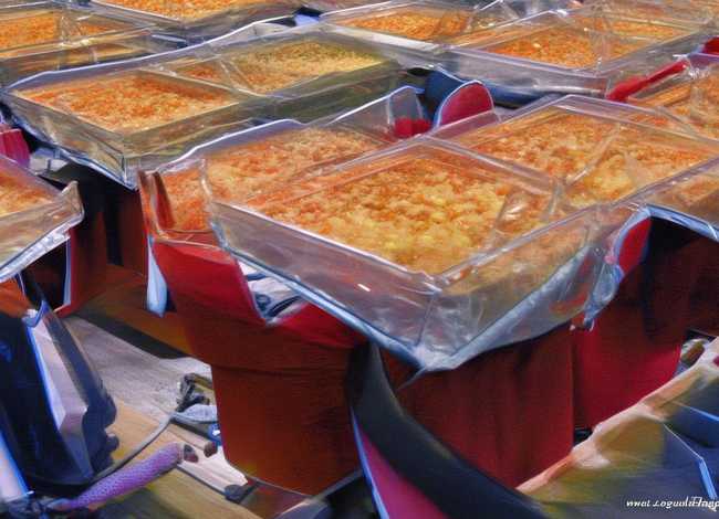 家乡的小故事 家乡的小故事50字黄河边