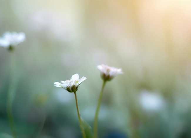 谦虚的小故事20字 谦虚的小故事20字以内