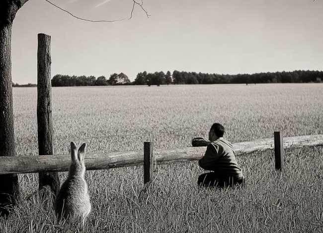 守株待兔的故事告诉我们必须妥善处理的哲学范畴是现实与可能吗正确答案 - 守株待兔的故事告诉我们什么道理