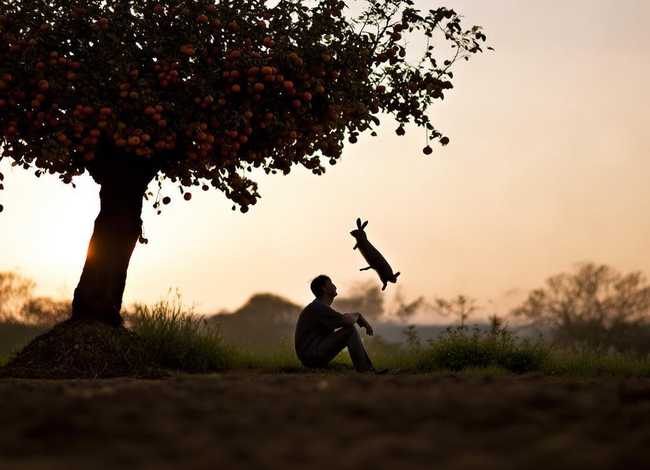 守株待兔故事小视频；守株待兔故事视频大全