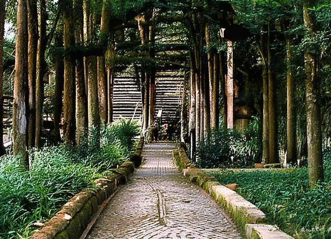 儿童故事小松鼠视频，小松鼠讲故事视频