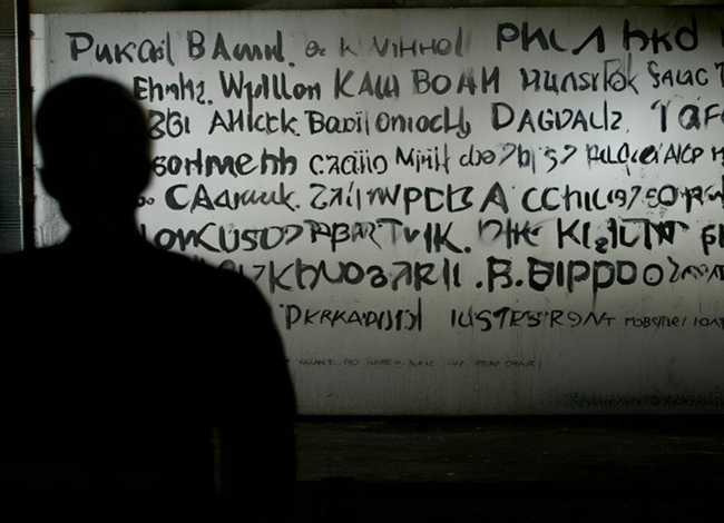 奶粉事件涉及品牌 - 2008年奶粉事件涉及品牌