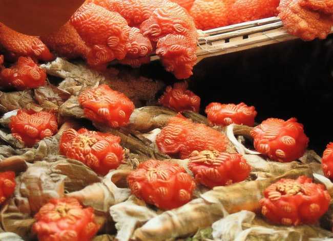 诸葛亮的故事概括50字 诸葛亮的故事概括50字以内