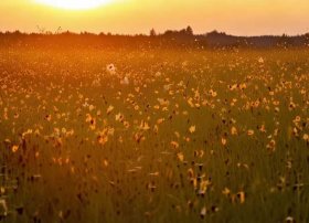 100个蜗牛的故事 - 100个蜗牛的故事图片