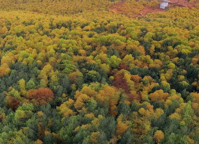 北仑儿童公园；北仑儿童公园照片