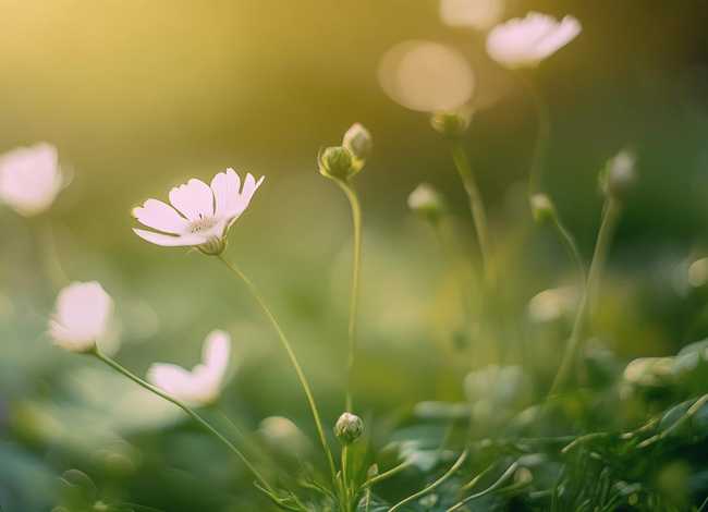 谦虚的小故事20字 谦虚的小故事20字以内