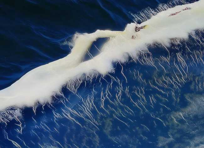 小胖的故事续写300字、小胖的故事续写300字作文