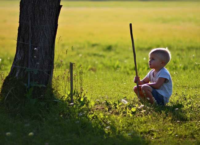 守株待兔儿童简短故事（守株待兔的故事简短版）