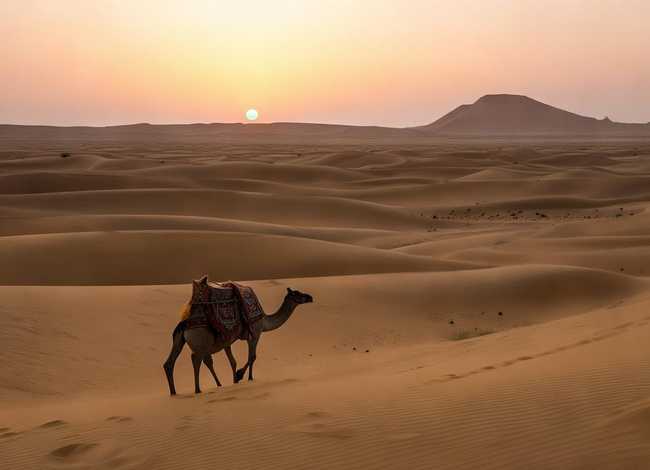 讲沙漠的故事 - 讲沙漠的故事英语