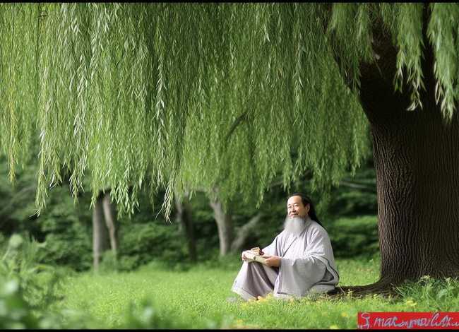 苏东坡故事大全，苏东坡故事大全简短