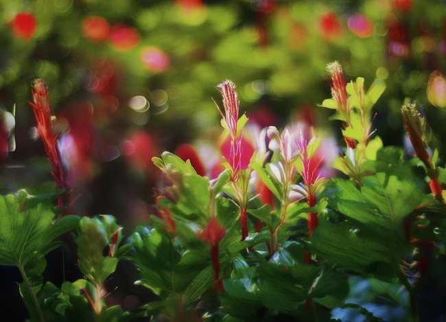 编辑部的故事推荐（编辑部的故事推荐语怎么写）