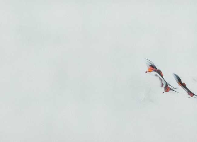 重阳节的故事300字左右，重阳节的故事200字左右