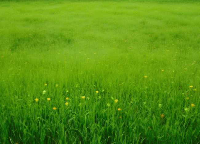 小蜗牛儿童故事绘画 小蜗牛的故事绘本