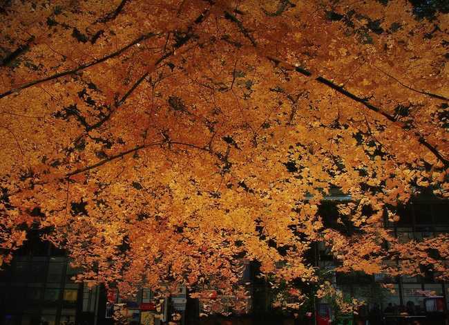 坏小孩故事概括;坏小孩故事概括50字 坏小孩故事概括;坏小孩故事概括50字