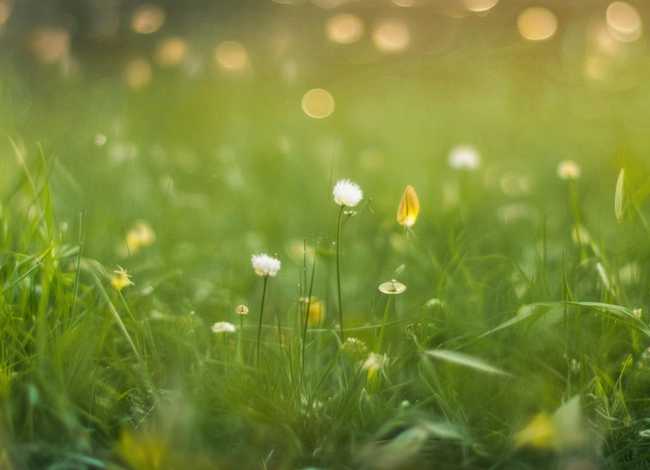 蜗牛小故事 蜗牛小故事20字