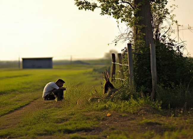 守株待兔故事的故事（守株待兔的故事简单的说一下）