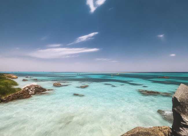 宋濂的故事的感受30字、宋濂的故事的感受30字怎么写