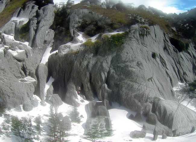 武松打虎的故事简单 武松打虎的故事简单介绍50字