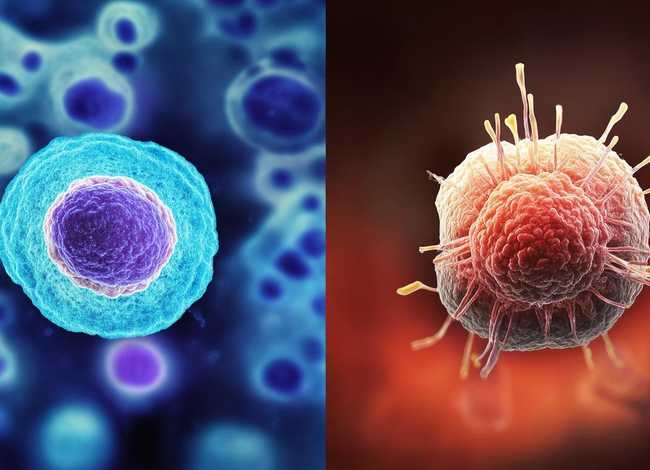 光学显微镜和电子显微镜的区别 - 光学显微镜和电子显微镜的区别图片