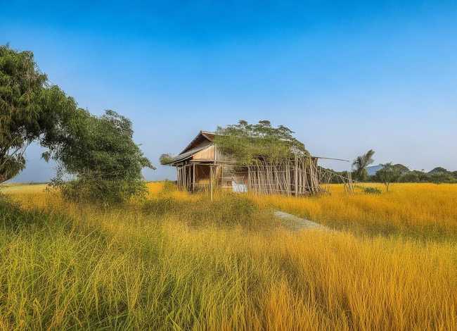 江西留守儿童（江西留守儿童用矿泉水瓶制作火箭）