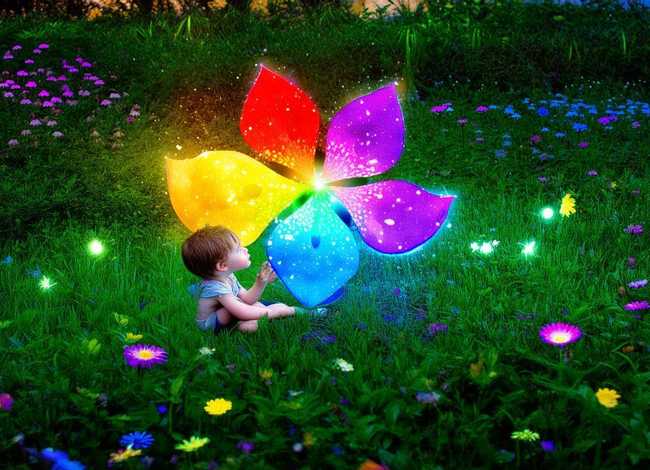 儿童故事七色花在线听、七色花的故事在线收听