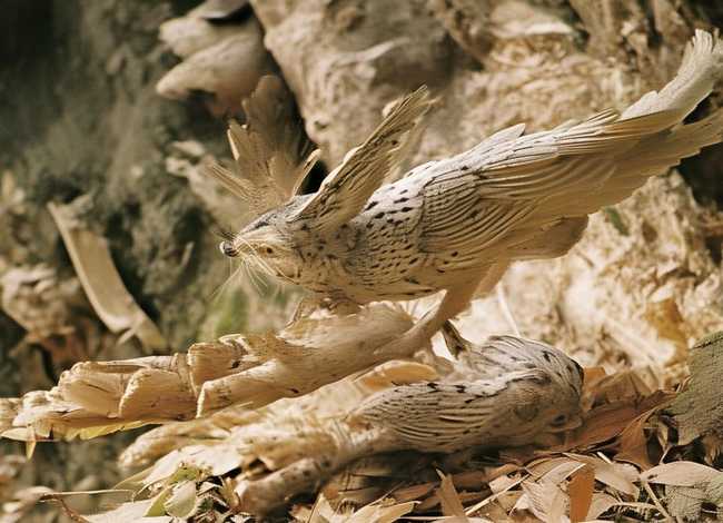 夜郎自大的故事100字、夜郎自大的故事100字怎么写
