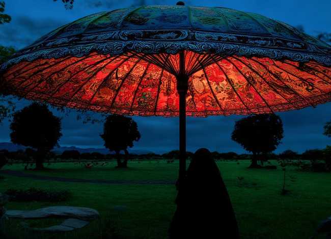 伞的故事主要讲了什么 - 伞的故事这篇短文主要讲了什么