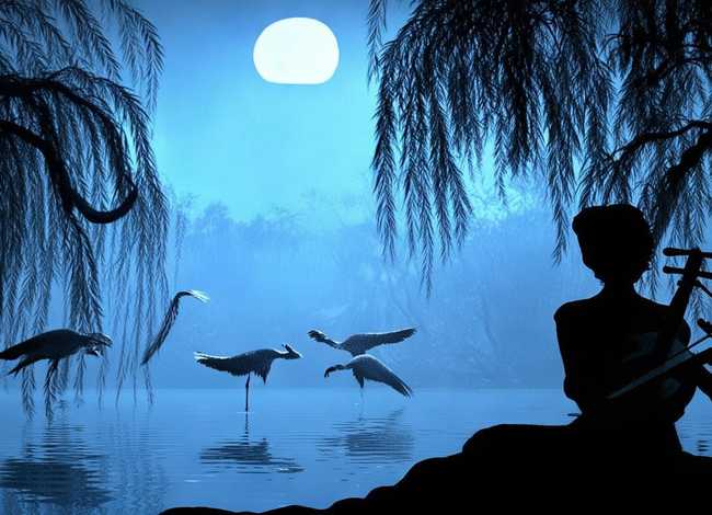 二胡小故事、二胡小故事伴三全