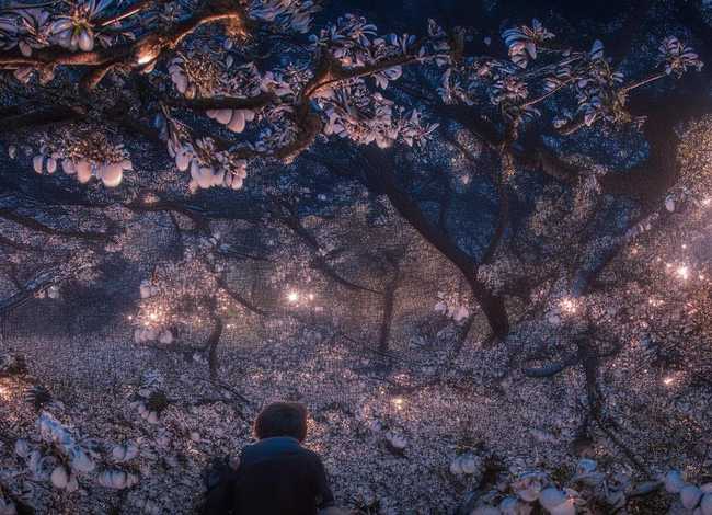 灰姑娘故事画成绘本（灰姑娘故事画成绘本怎么画）