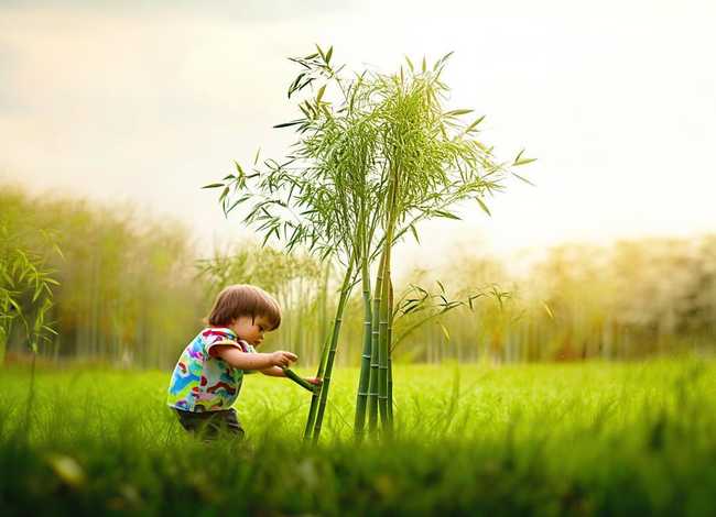 拔苗助长儿童故事在线听 - 睡前故事在线听拔苗助长 拔苗助长儿童故事在线听 - 睡前故事在线听拔苗助长